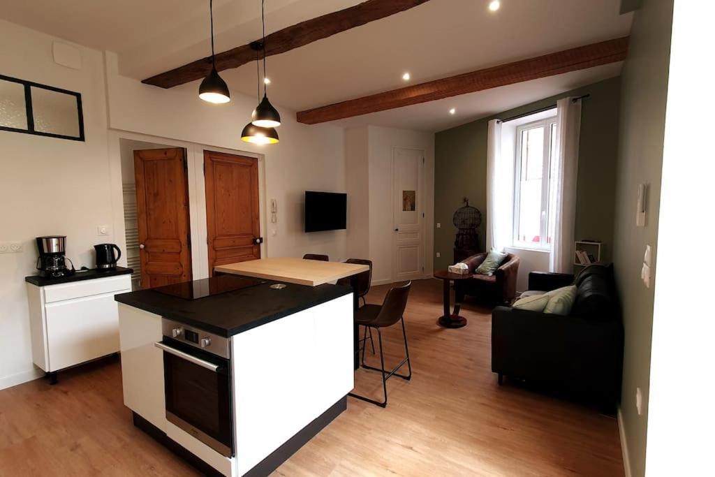 Classe 4 Etoiles - Cybele - Centre Ville 2 Chambres, Cour Privative Et Garage Vienne  Exterior photo