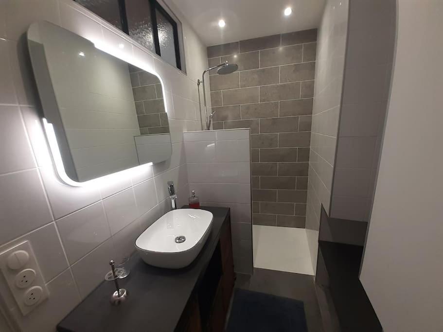 Classe 4 Etoiles - Cybele - Centre Ville 2 Chambres, Cour Privative Et Garage Vienne  Exterior photo