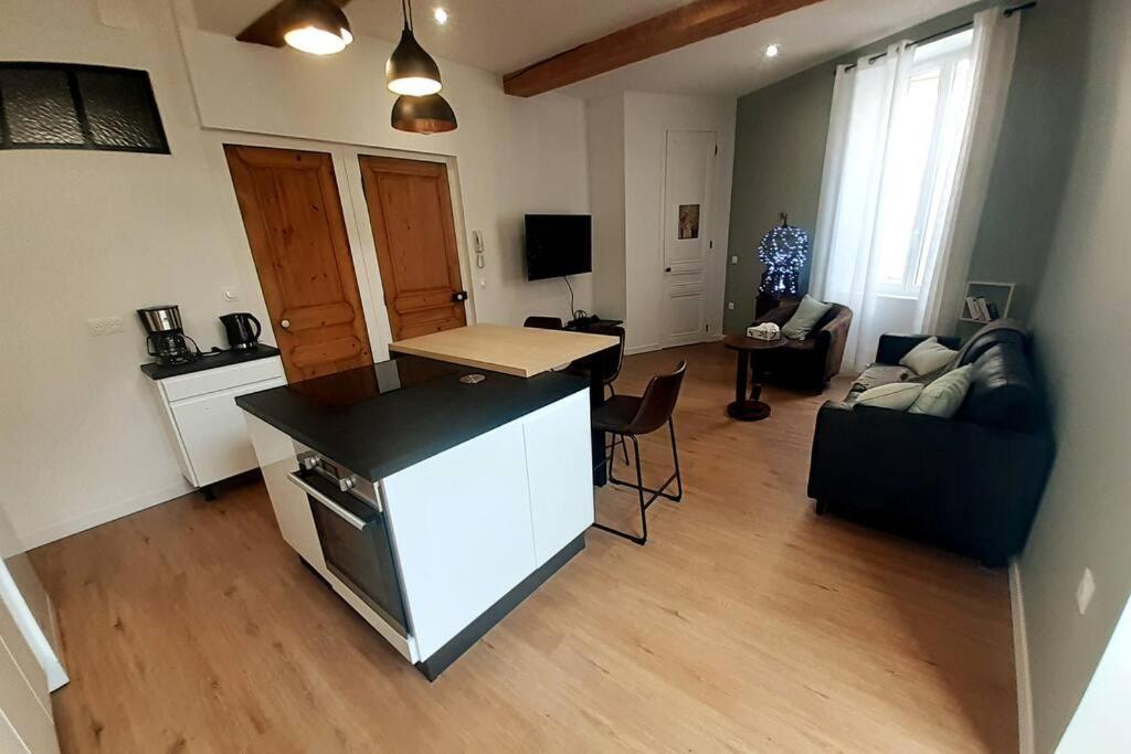 Classe 4 Etoiles - Cybele - Centre Ville 2 Chambres, Cour Privative Et Garage Vienne  Exterior photo